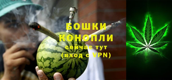 ГАЛЛЮЦИНОГЕННЫЕ ГРИБЫ Белокуриха