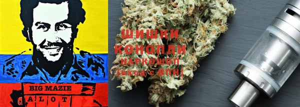 ГАЛЛЮЦИНОГЕННЫЕ ГРИБЫ Белокуриха
